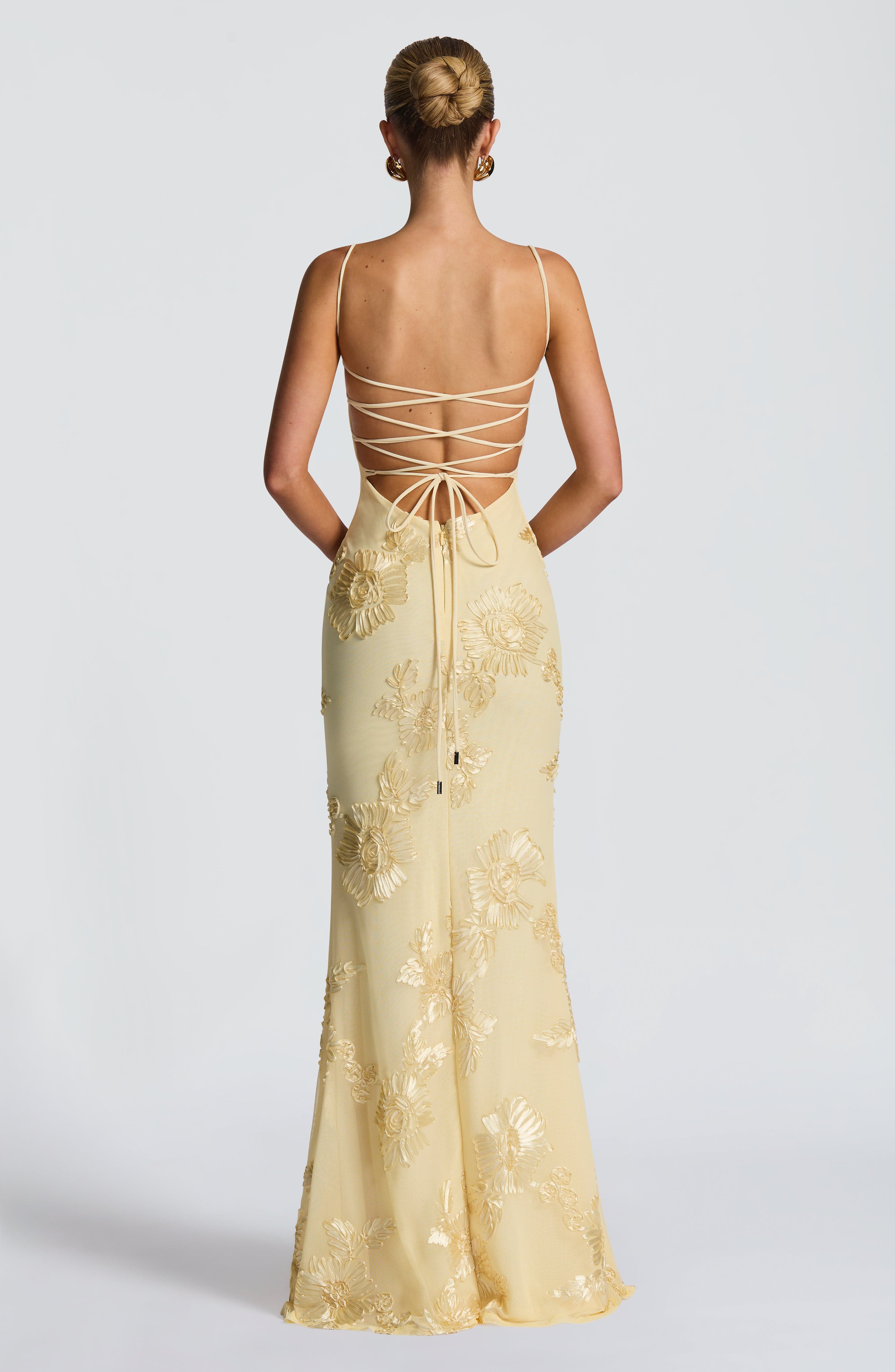 Eden | Floral Embroidered Corset Maxi Dress
