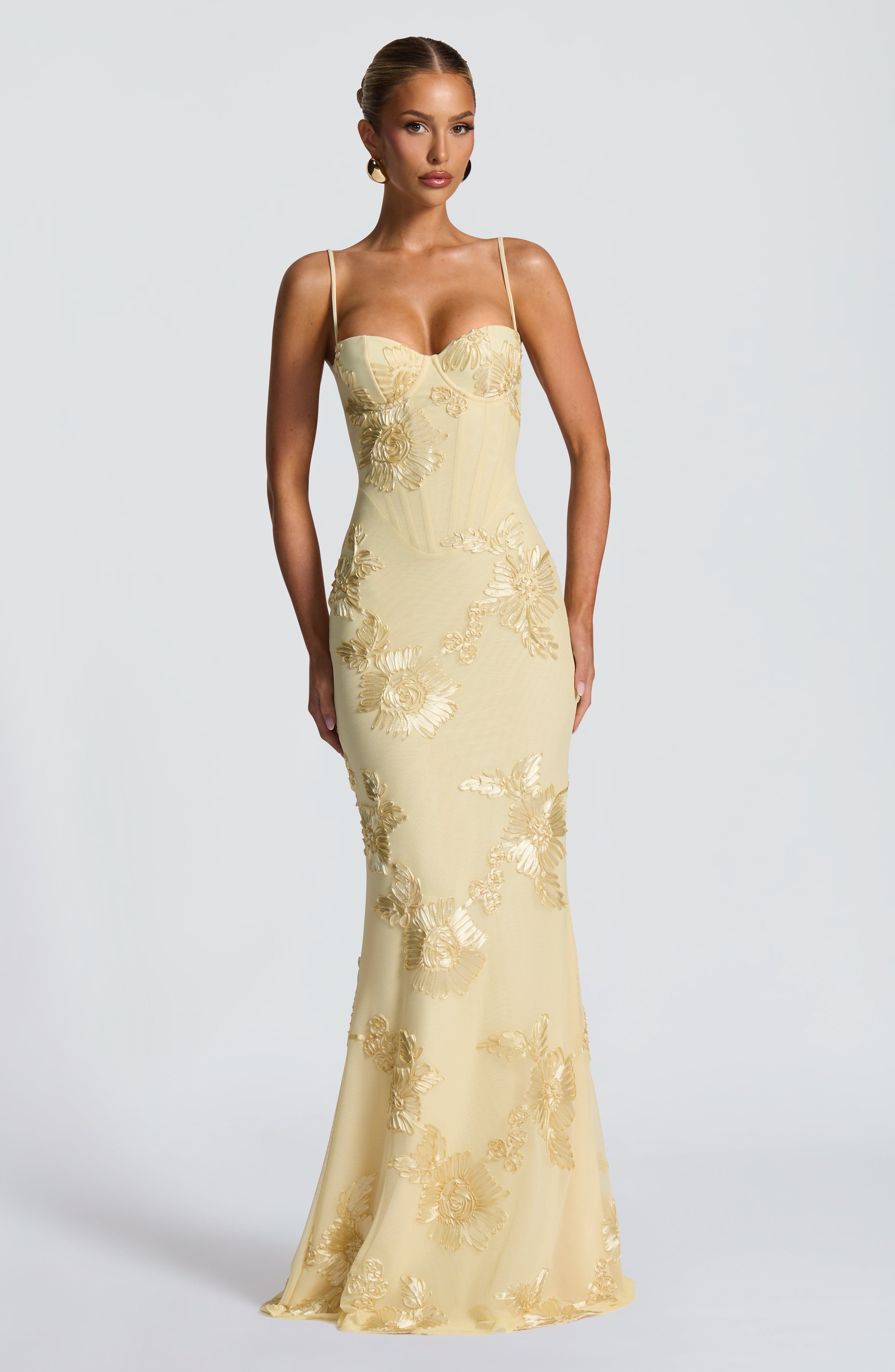 Eden | Floral Embroidered Corset Maxi Dress